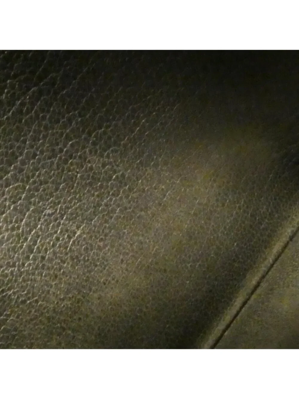 Louis Vuitton Exotic Leather Zippy Wallet